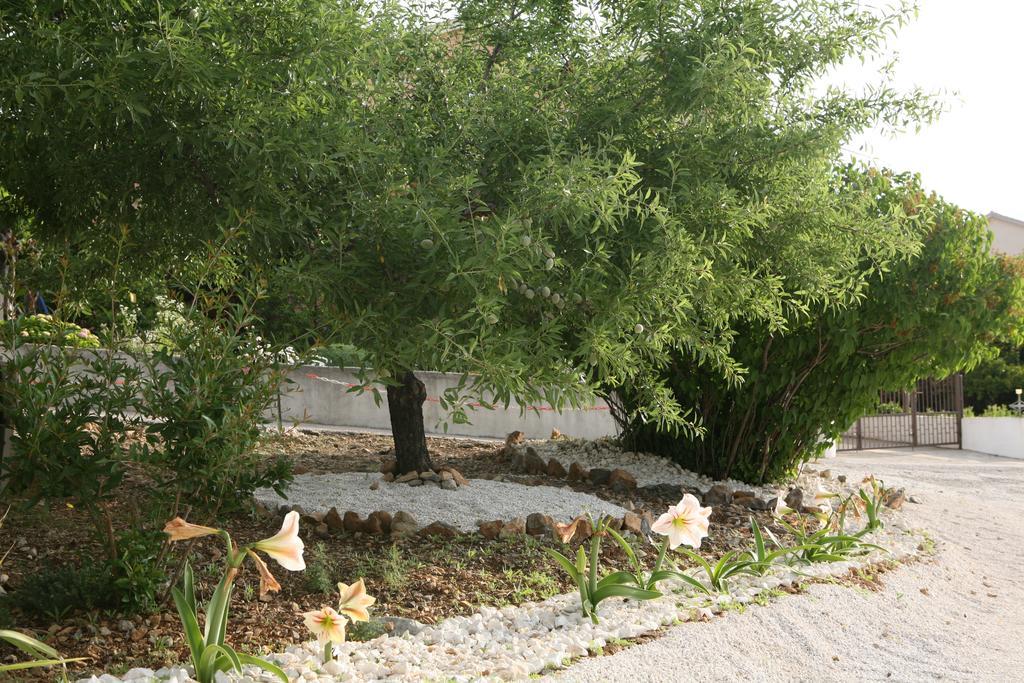 Apartment Nives Τρογκίρ Εξωτερικό φωτογραφία